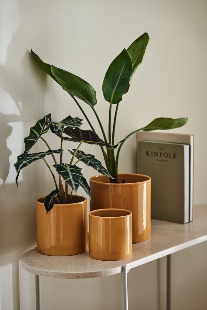 Maceta Sleek Ø19 cm, Mostaza Scandi Living
