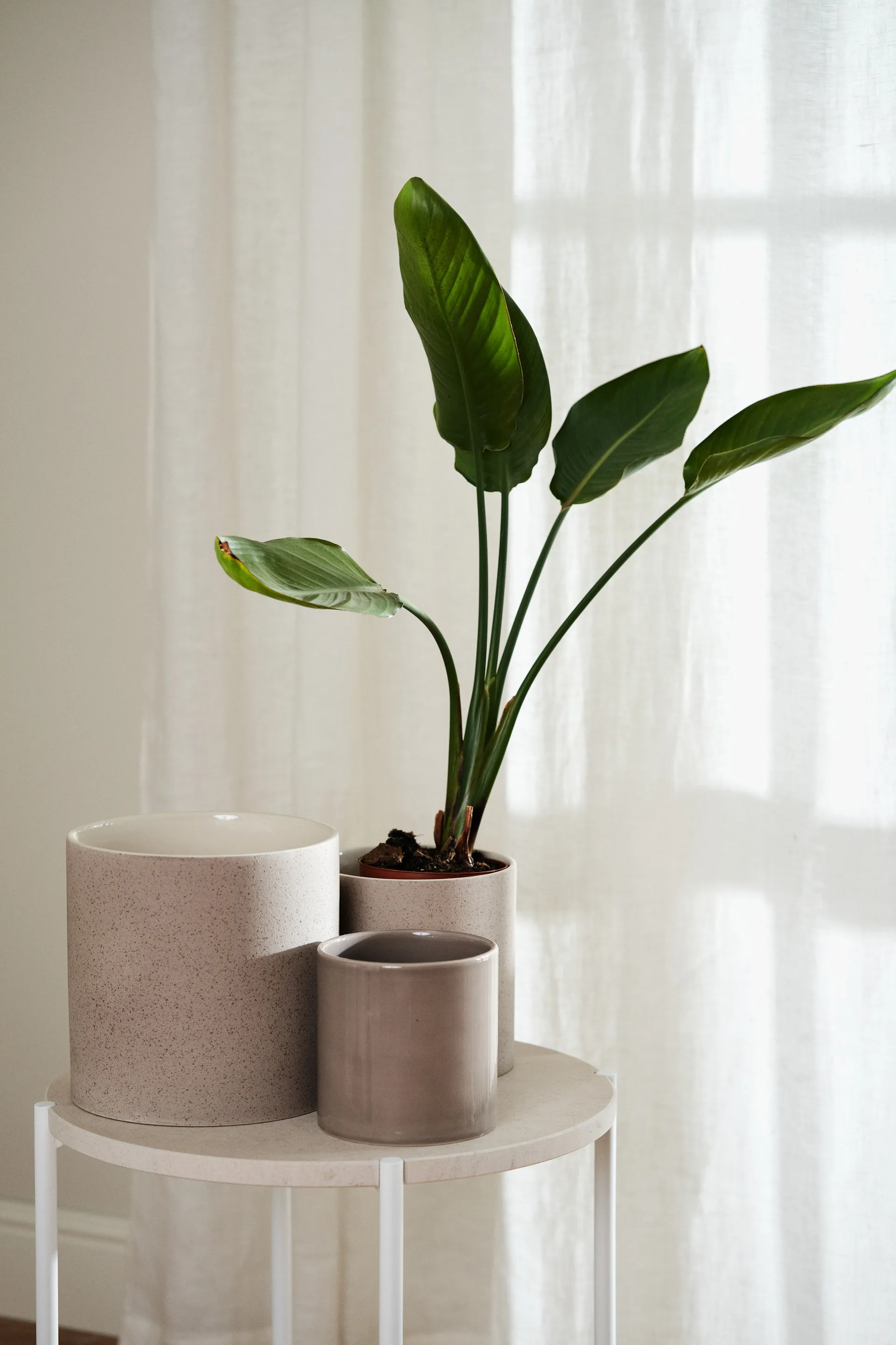 Maceta Speckled Ø15 cm , Beige Scandi Living