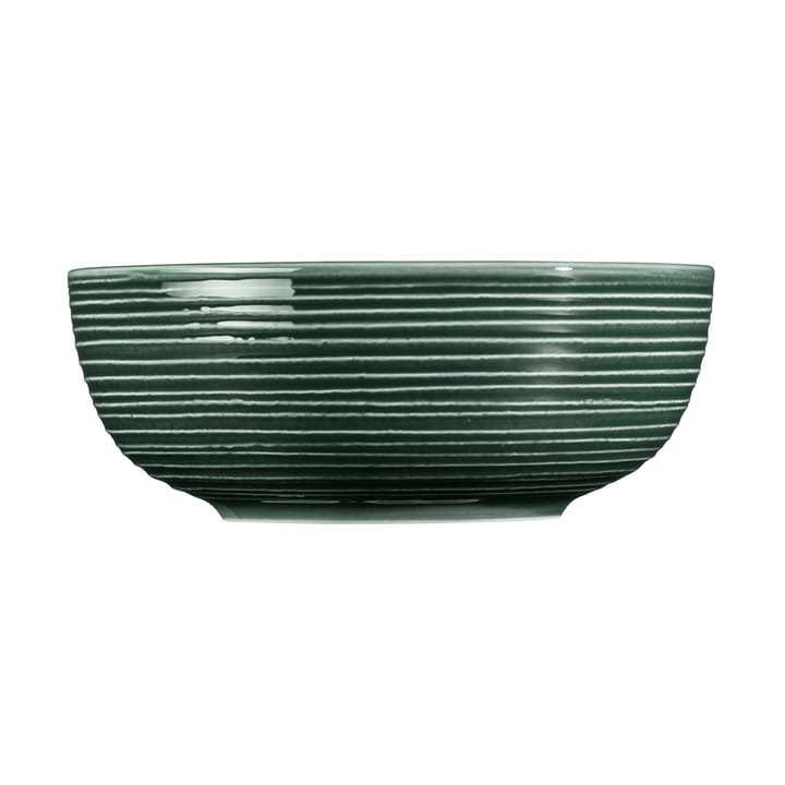 2 Boles Terra Ø20,4 cm, Moss Green Seltmann Weiden