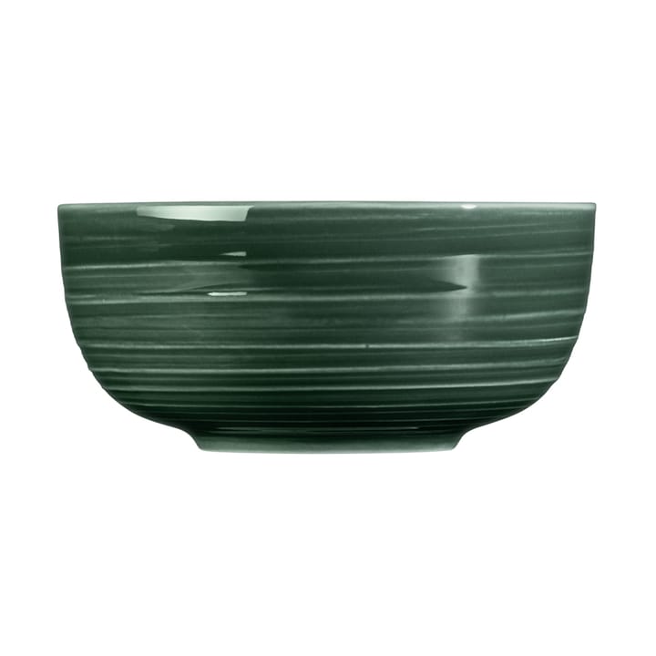 4 Boles Terra Ø15 cm, Moss Green Seltmann Weiden