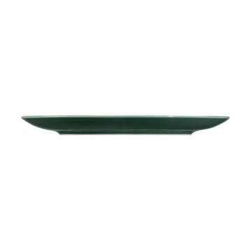 6 Platos Terra Ø22,7 cm - Moss Green - Seltmann Weiden