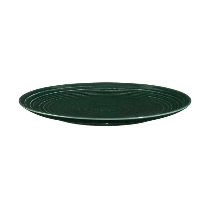 6 Platos Terra Ø22,7 cm, Moss Green Seltmann Weiden