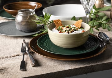 6 Platos Terra Ø22,7 cm - Moss Green - Seltmann Weiden