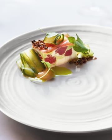6 Platos Terra Ø27,8 cm - Blanco - Seltmann Weiden
