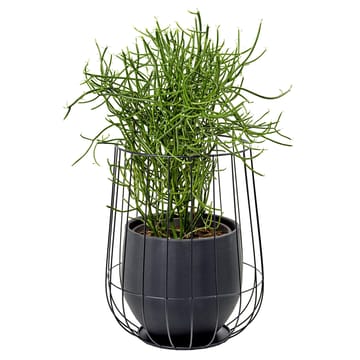 Maceta en cesta Serax Ø37xh46 cm - Black - Serax