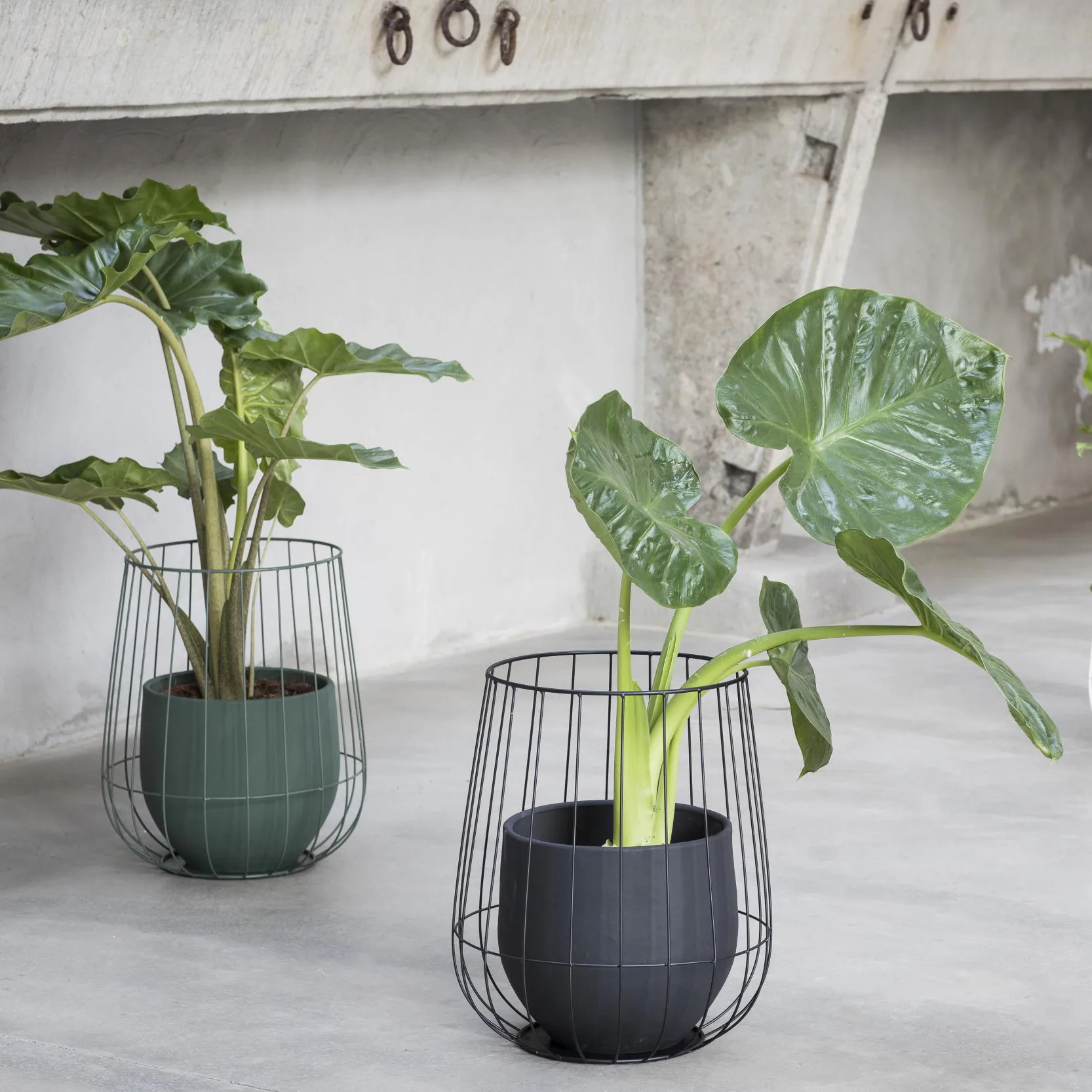 Maceta en cesta Serax Ø37xh46 cm, Black Serax