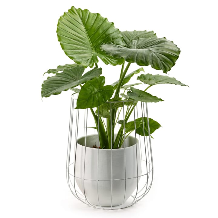 Maceta en cesta Serax Ø37xh46 cm, White Serax
