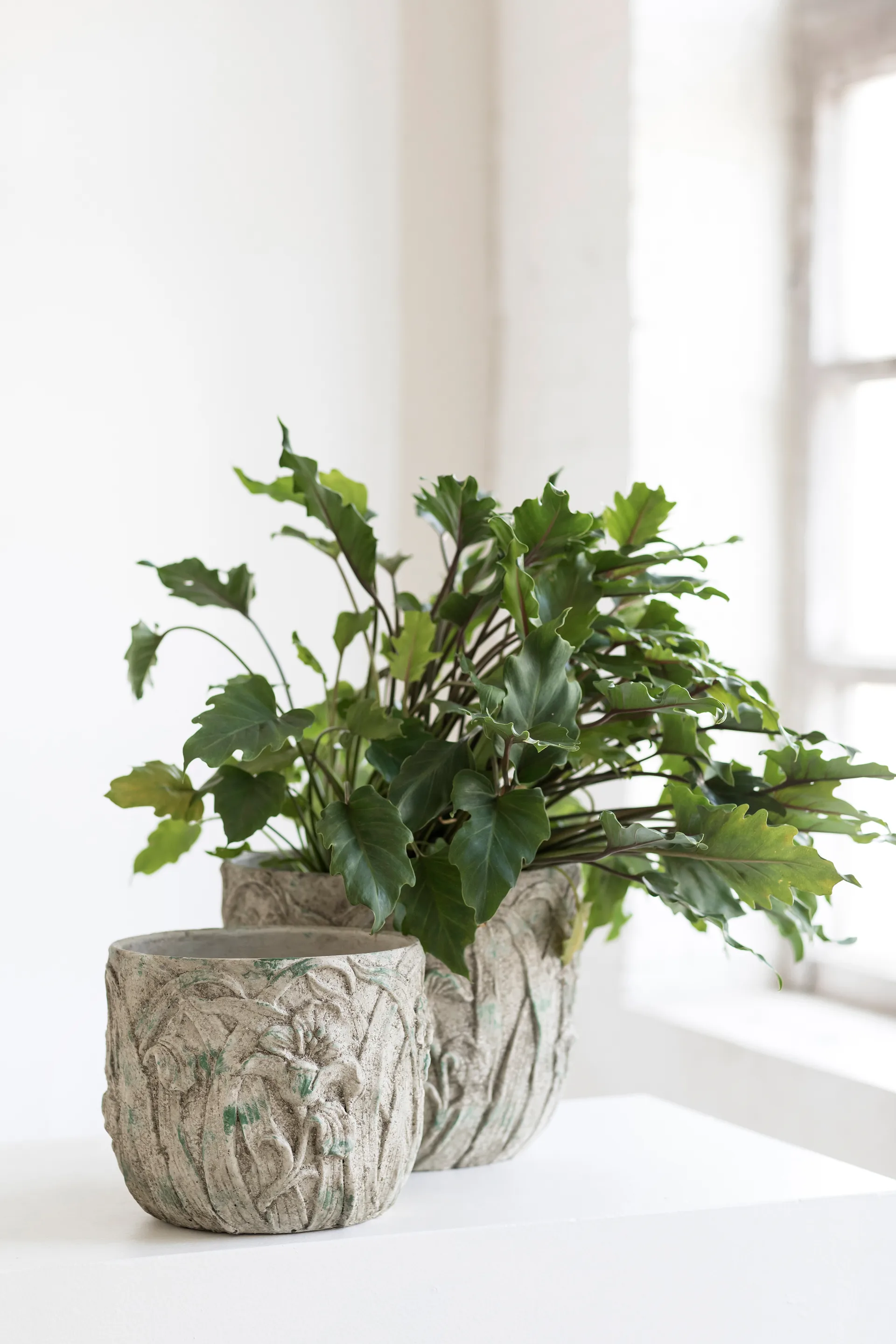 Maceta Rustic patrón de flores M 25,5 cm, Grey Serax