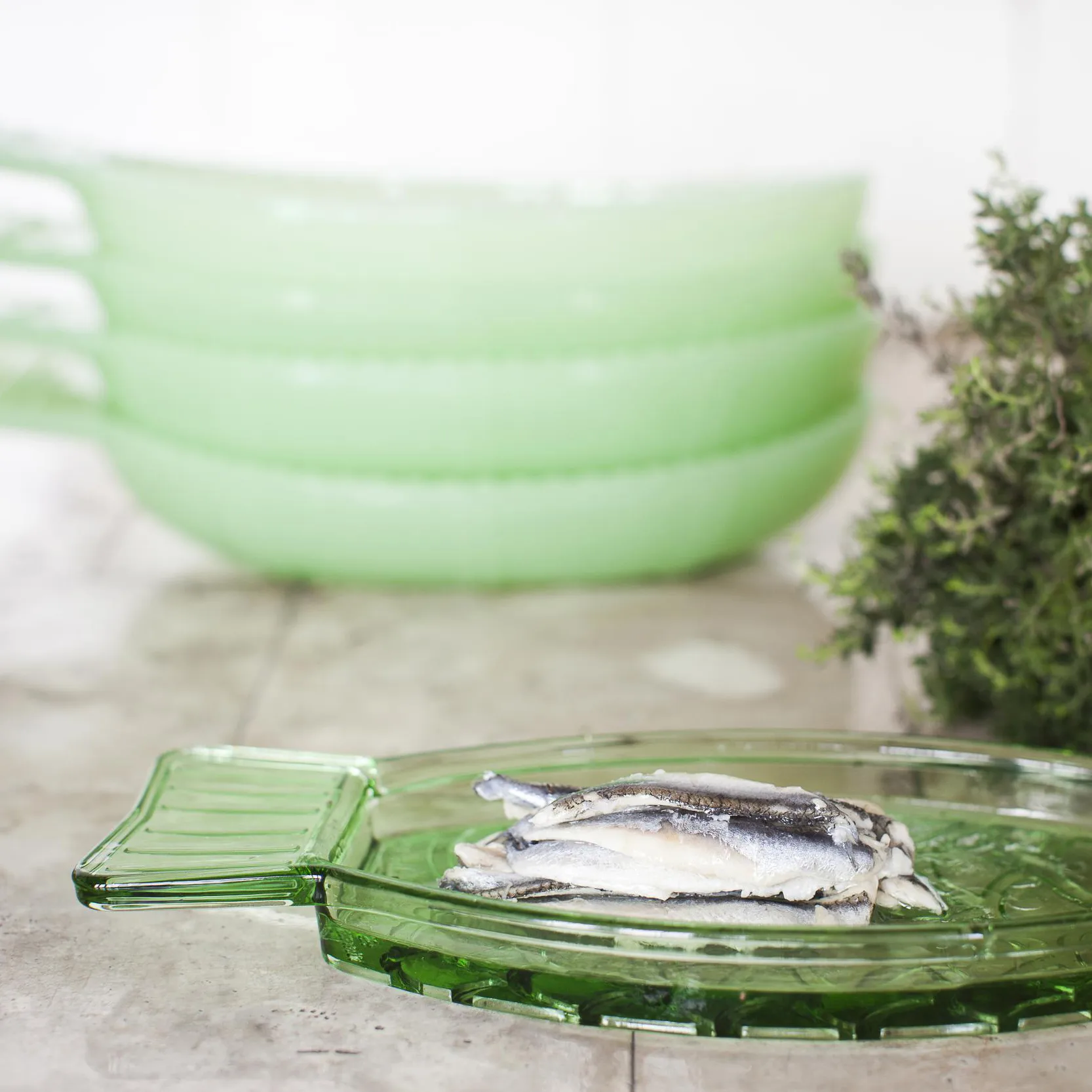 Plato Fish & Fish 10x23 cm, Green Serax