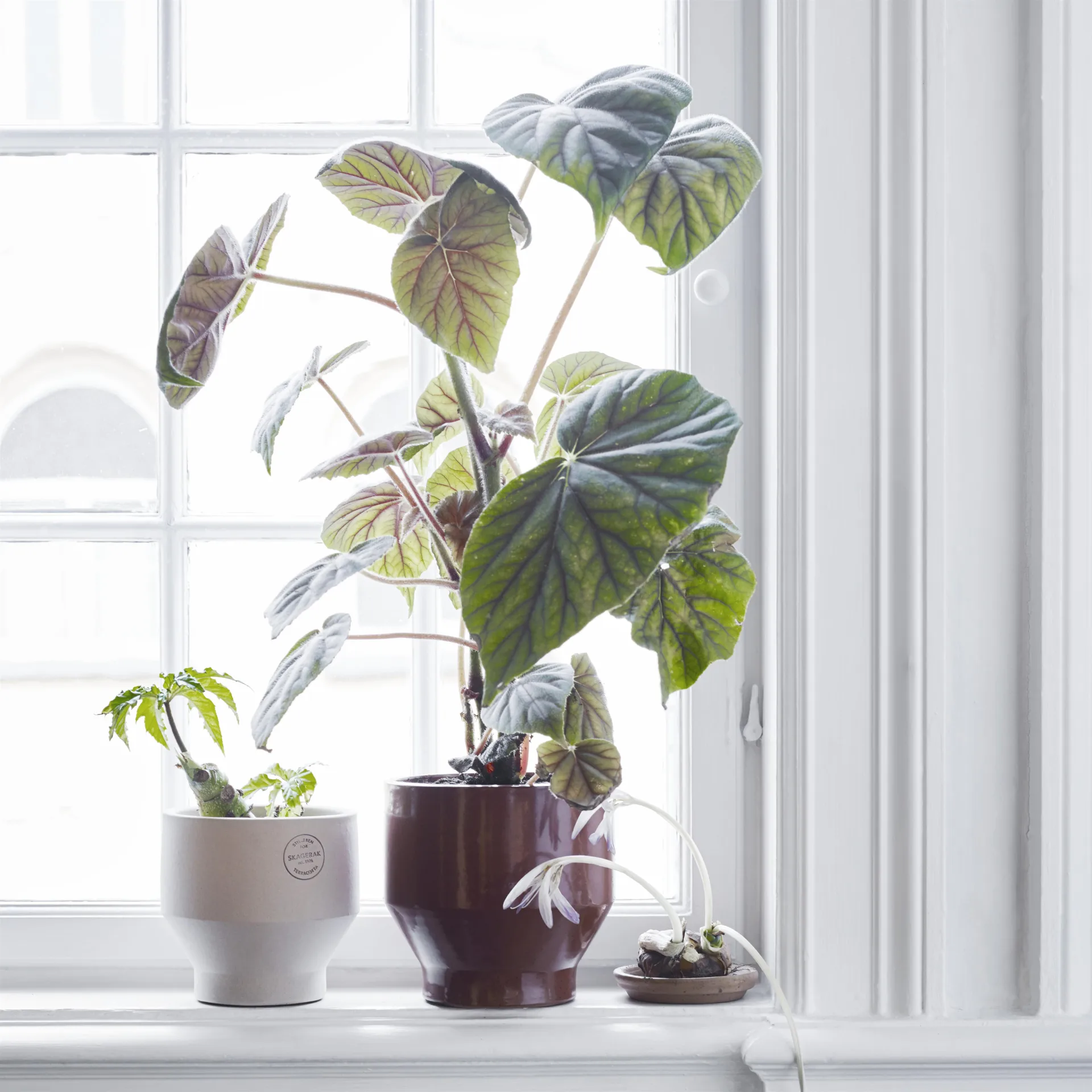 Maceta Edge (interior) Ø18 cm, Burned red Skagerak