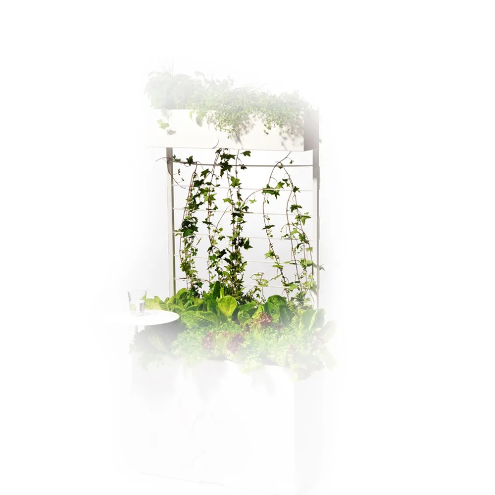 Emparrado Urban, Blanco SMD Design