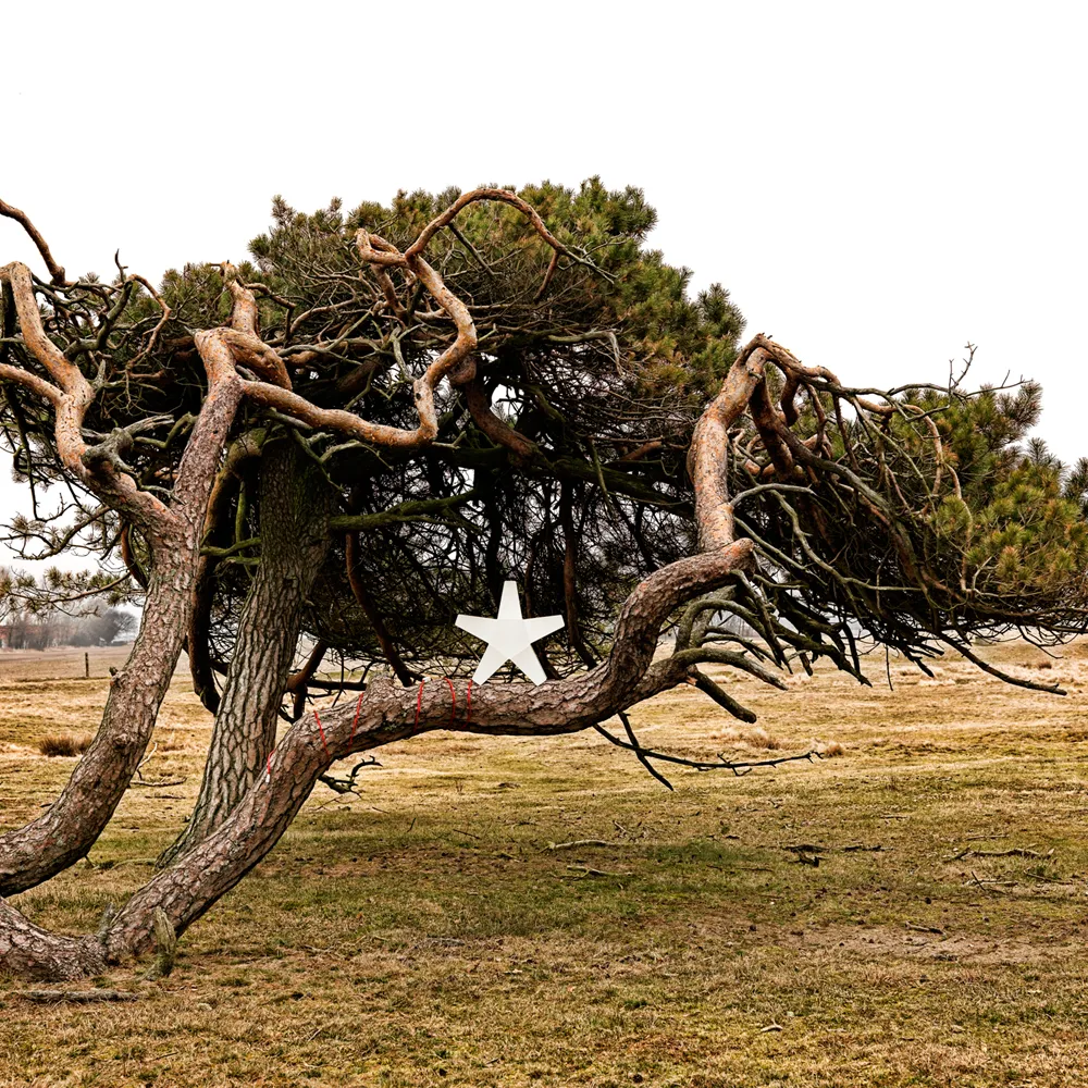 Estrella de Adviento Advent Stjärna, Gris, 40 cm, cable de tela gris claro SMD Design