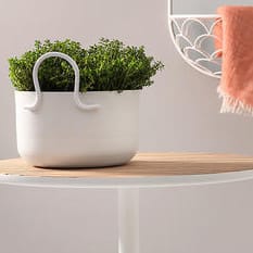 Maceta Tivoli Ø30 cm, baja, blanco SMD Design
