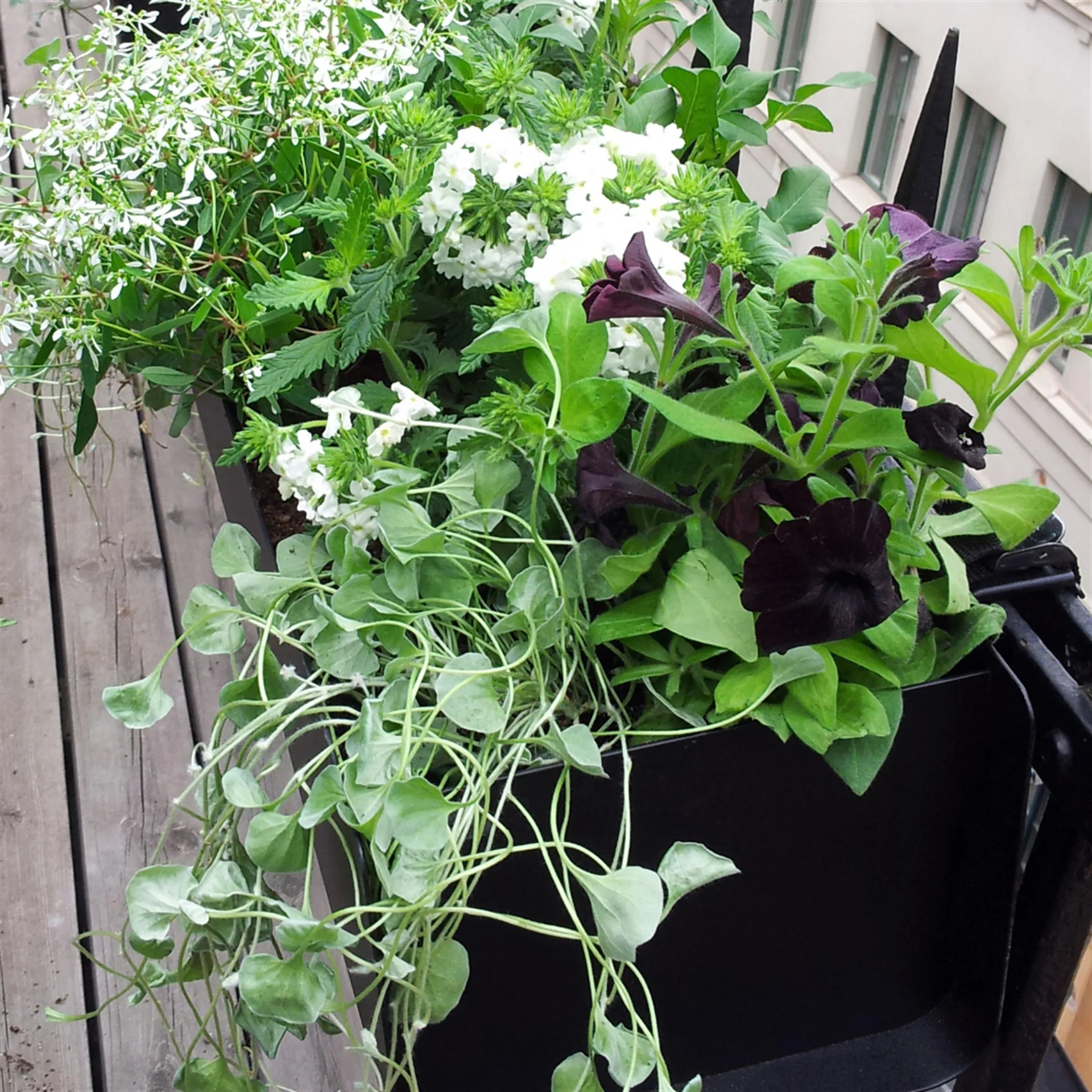 Macetero de ventana Jorda, Negro 60 cm SMD Design