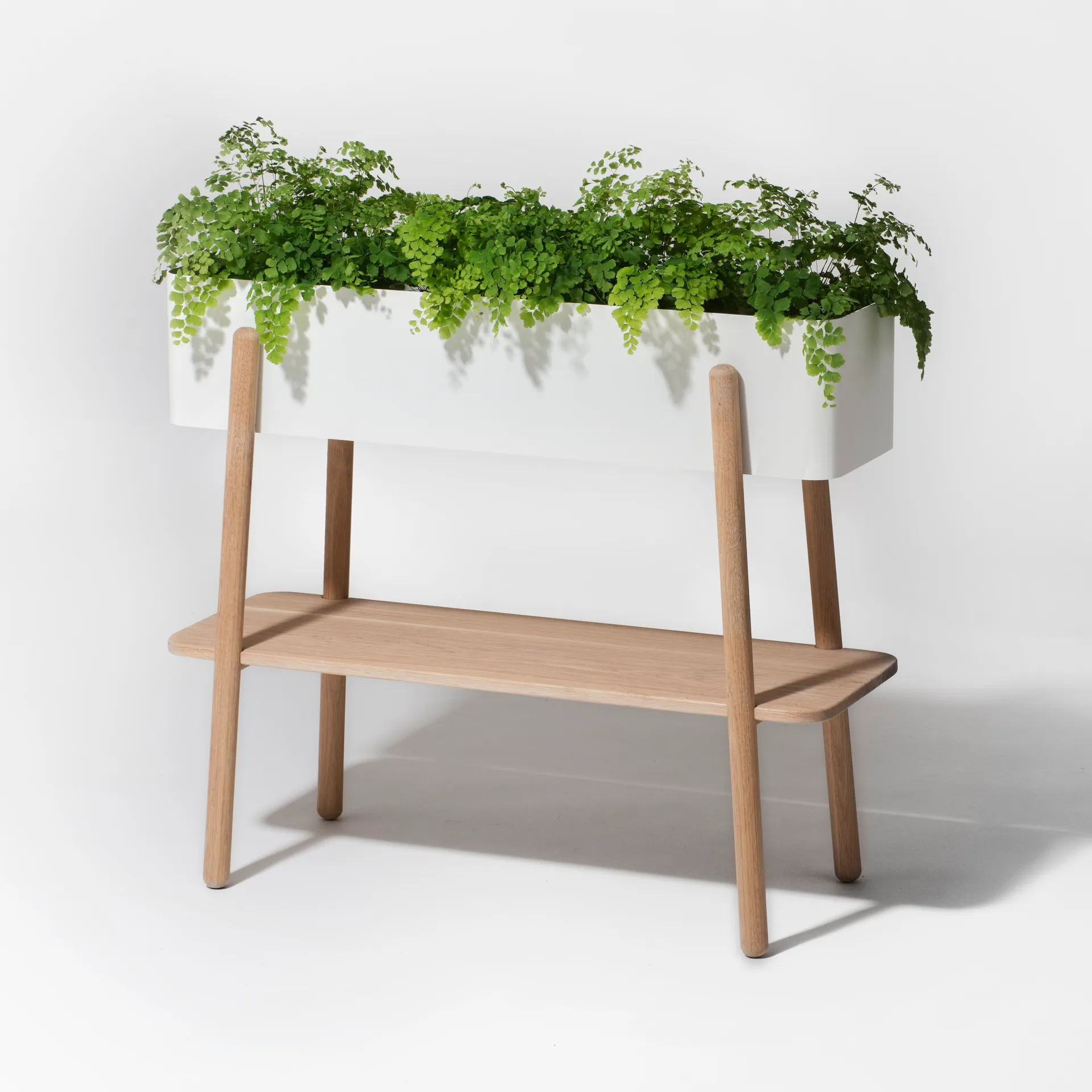 Pedestal para plantas Prunella, Blanco-roble SMD Design