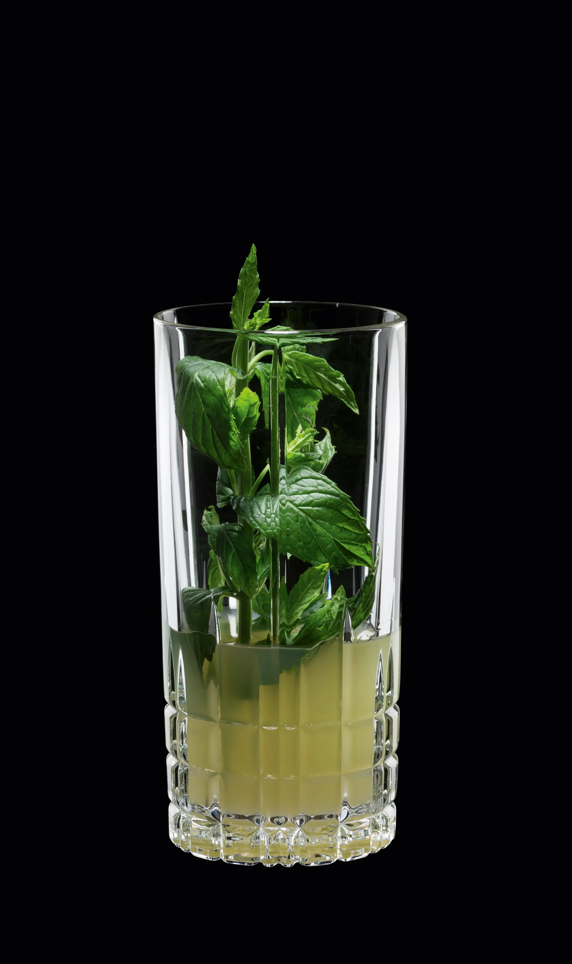 Vaso de trago largo Perfect Serve 35 cl, 4 unidades, claro Spiegelau