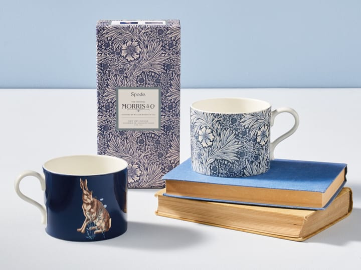 Set de 2 tazas Marigold & Hare 34 cl - Multi - Spode