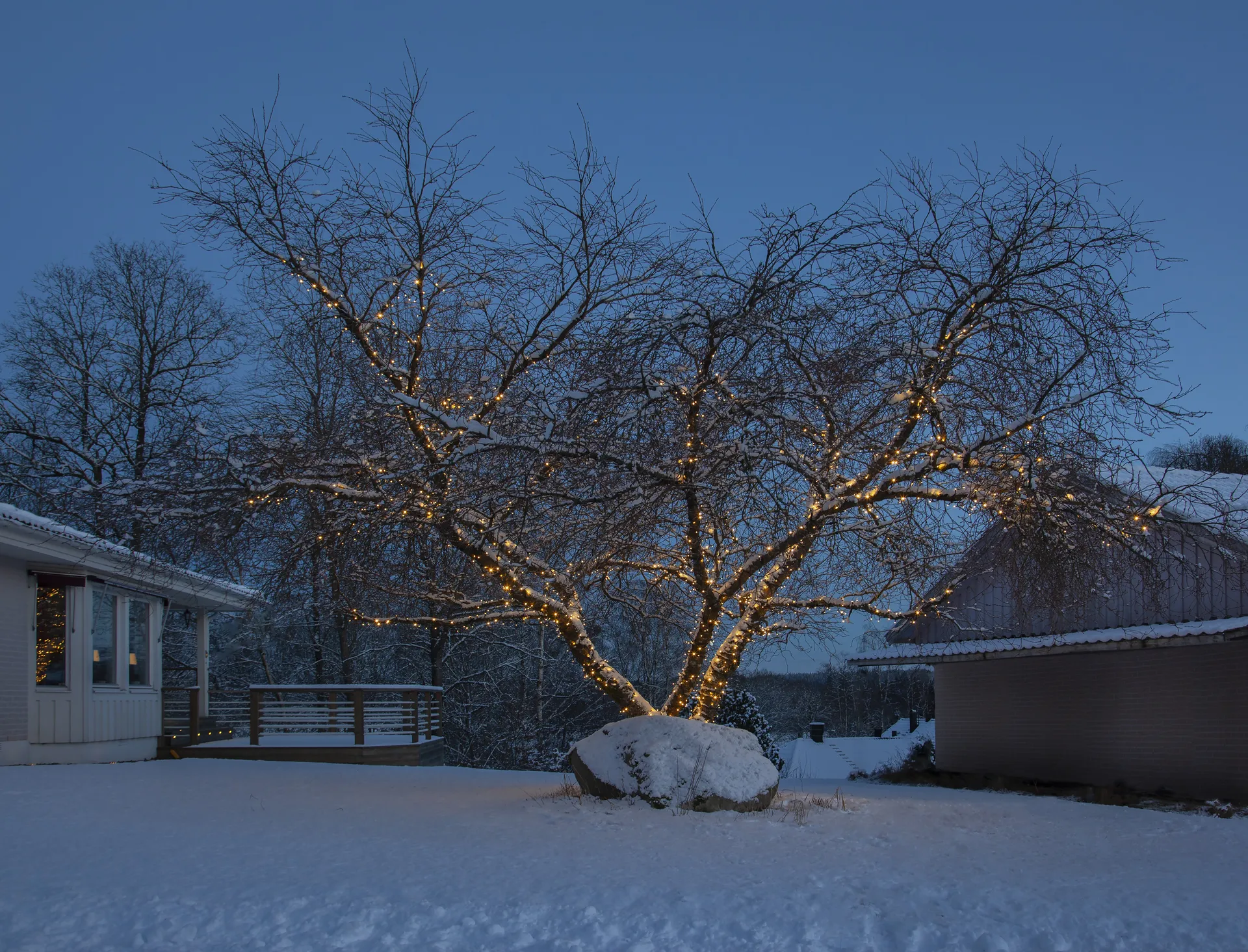 Cable de inicio Star Trading system LED, 180 cm Star Trading