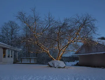 Cable de inicio Star Trading system LED - 180 cm - Star Trading