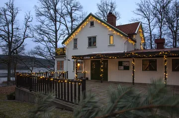 Cable de inicio Star Trading system LED - 180 cm - Star Trading