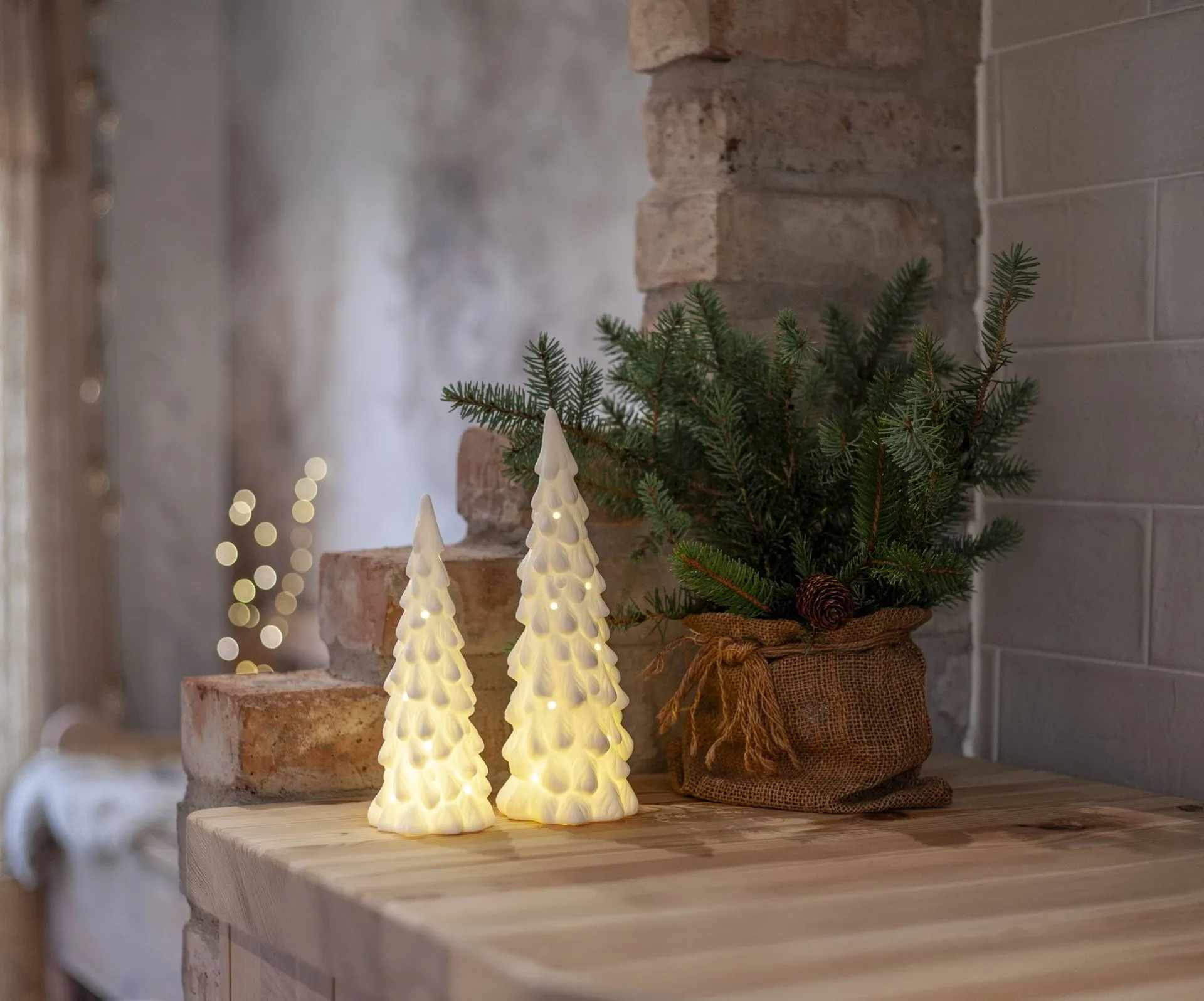 Decoración de interior de invierno, Abeto blanco, 2 piezas Star Trading Decoración de interior de invierno, Abeto blanco, 2 piezas Star Trading