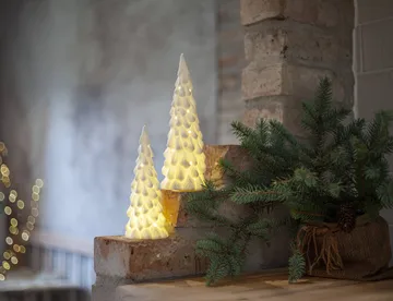 Decoración de interior de invierno - Abeto blanco, 2 piezas - Star Trading