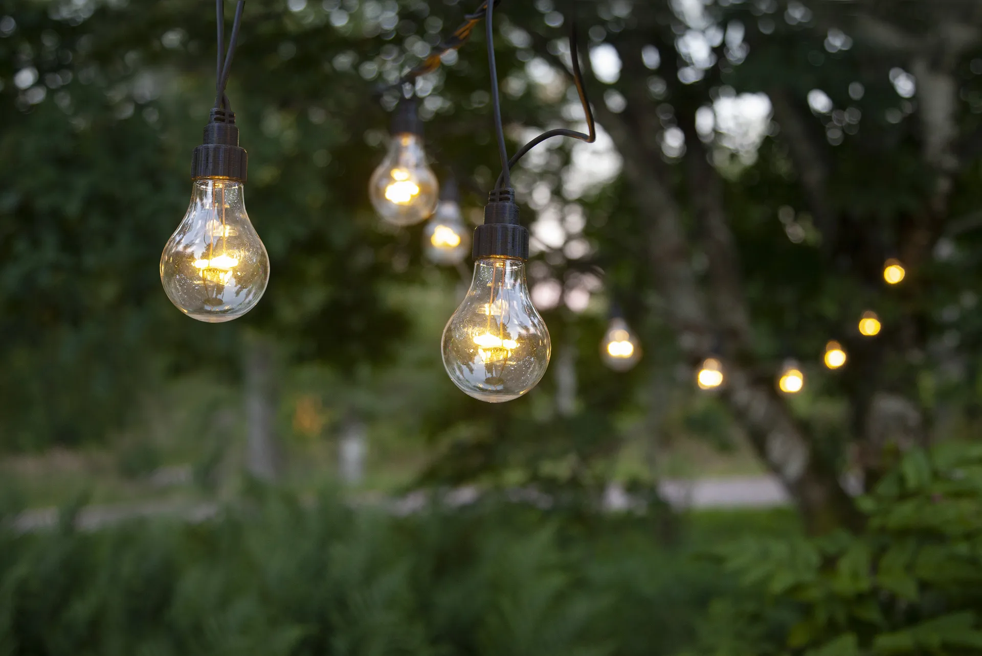 Guirnalda de luces extra Star Trading system LED , 500 cm Star Trading