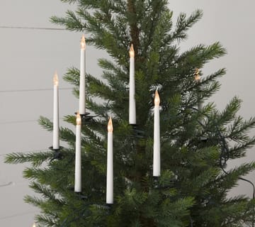 Luces para árbol de navidad SlimLine 25 lámparas - blanco - Star Trading