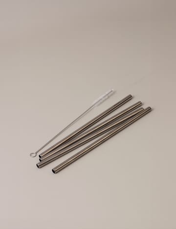 Pajitas reutilizables Stelton 4-pack - Steel - Stelton
