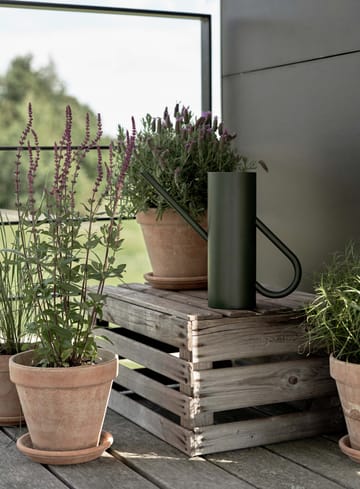 Regadera Bloom 2 L - Pine - Stelton
