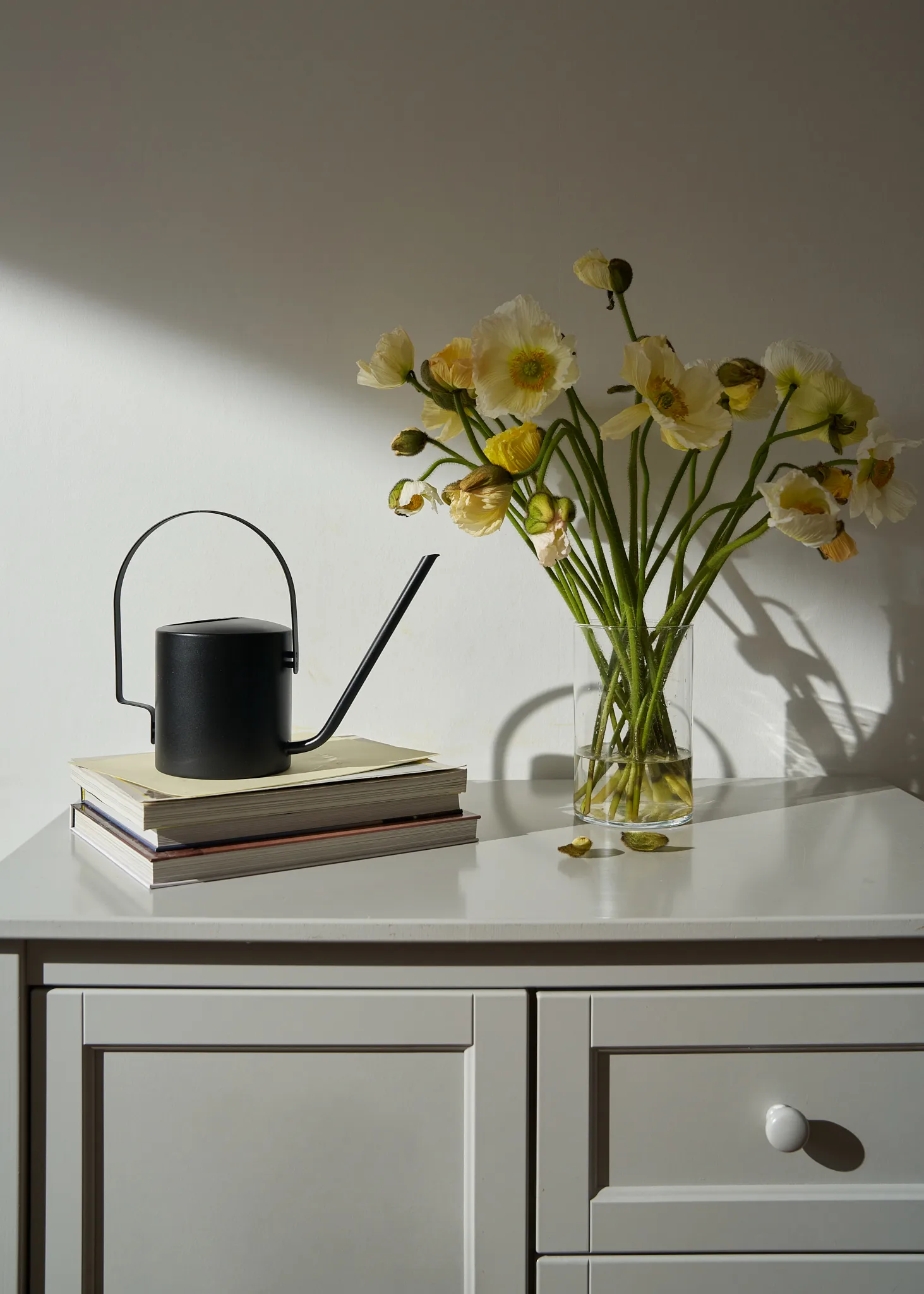 Regadera Original 1,7 l, Negro suave Stelton