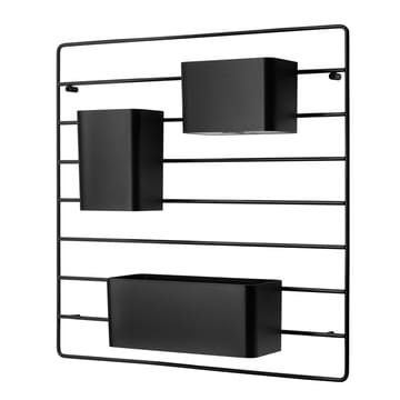 3 String Organizers - Negro - String