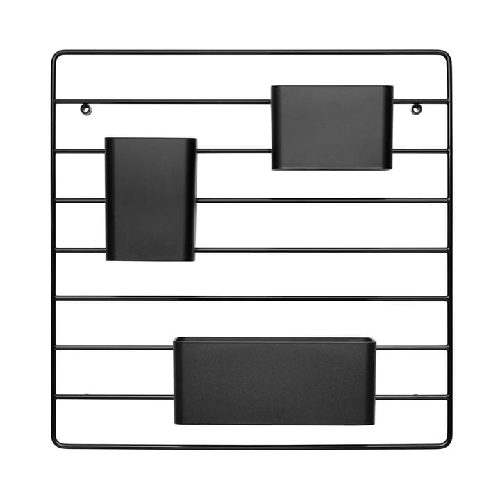 3 String Organizers - Negro - String