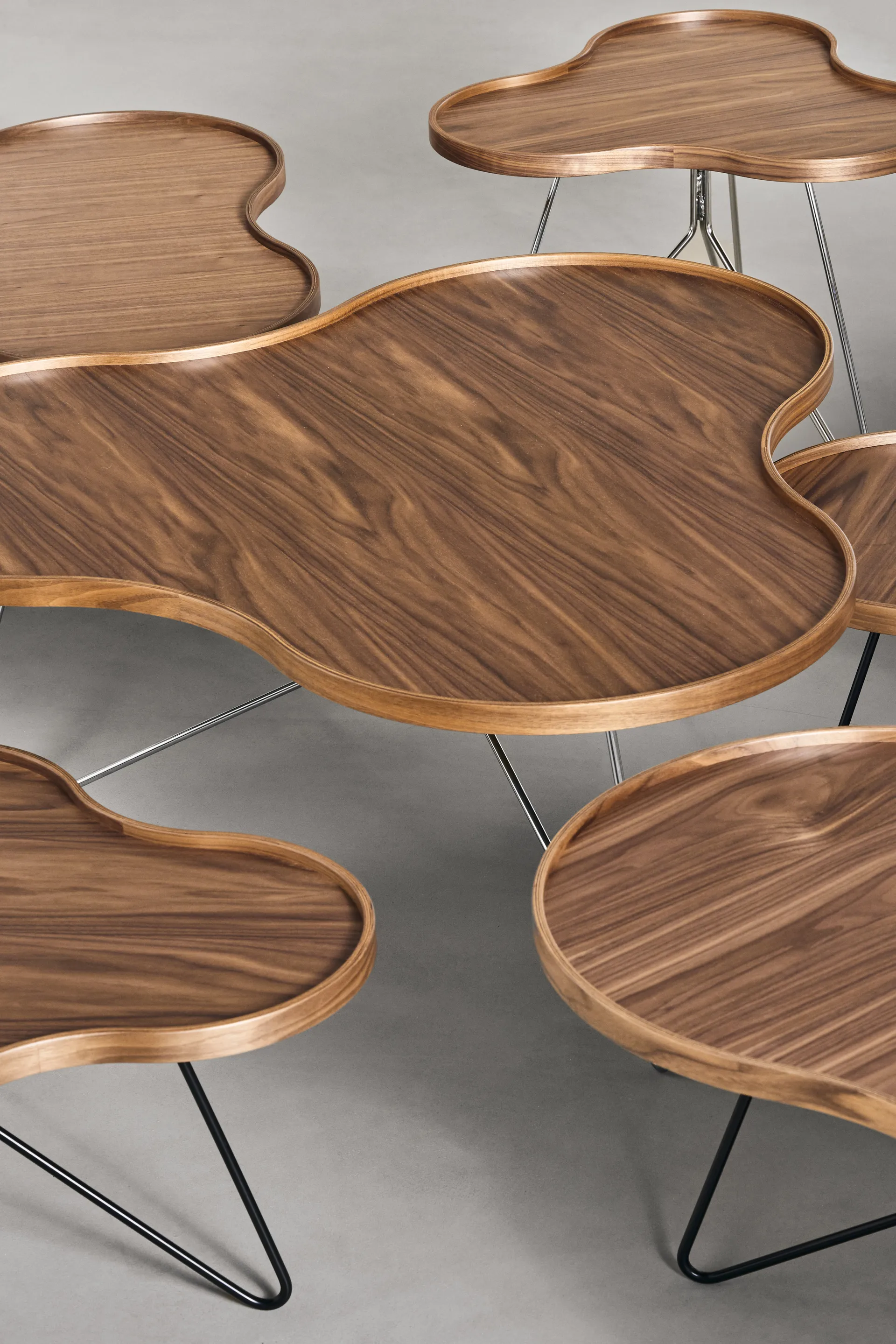 Mesa Flower mono Edición Especial 107x114 cm, H39 cm-nogal lacado-acero cromado Swedese