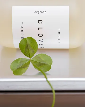 Jabón de manos Clover - 350 ml - Tangent