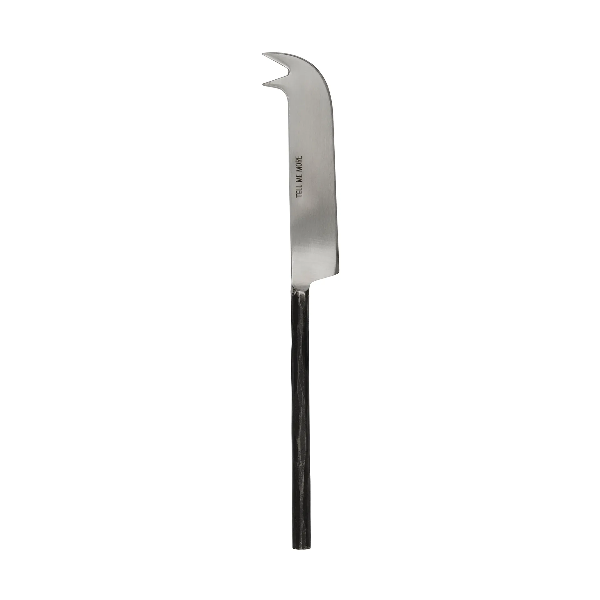 Cuchillo para queso Steel  large, Acero sin abrillantar Tell Me More