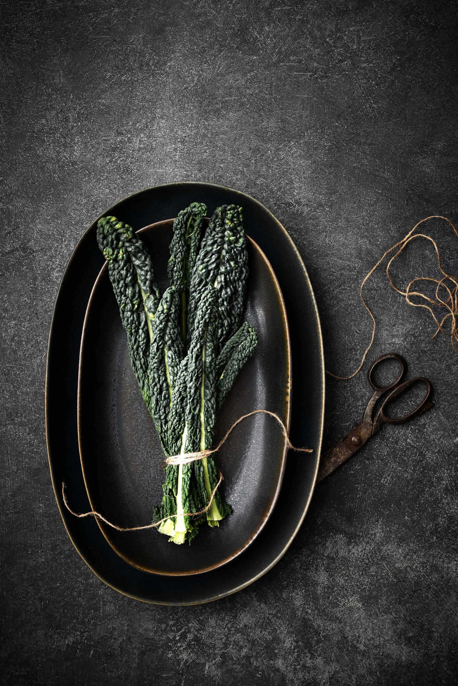 Fuente de servir Bastia large 28x43 cm, Negro Tell Me More