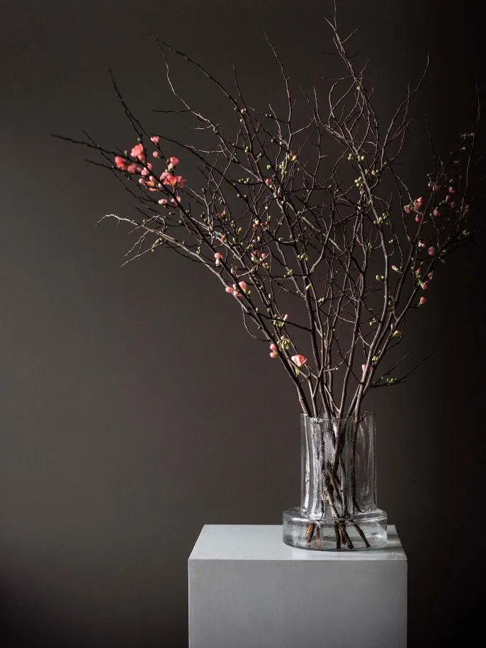 Jarrón Vienna 25 cm, Clear Tell Me More