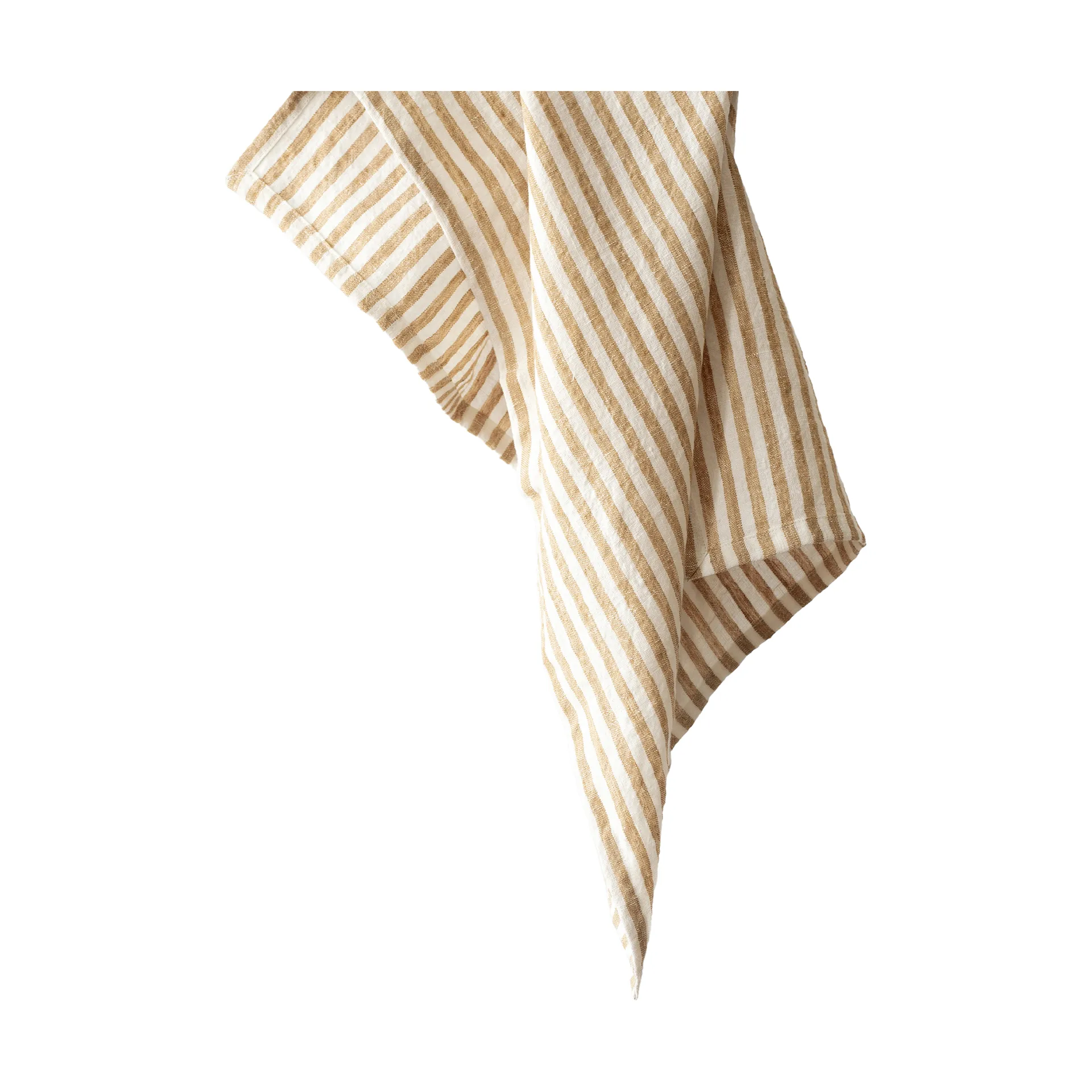 Paño de cocina Leon 50x70 cm, Especia Tell Me More