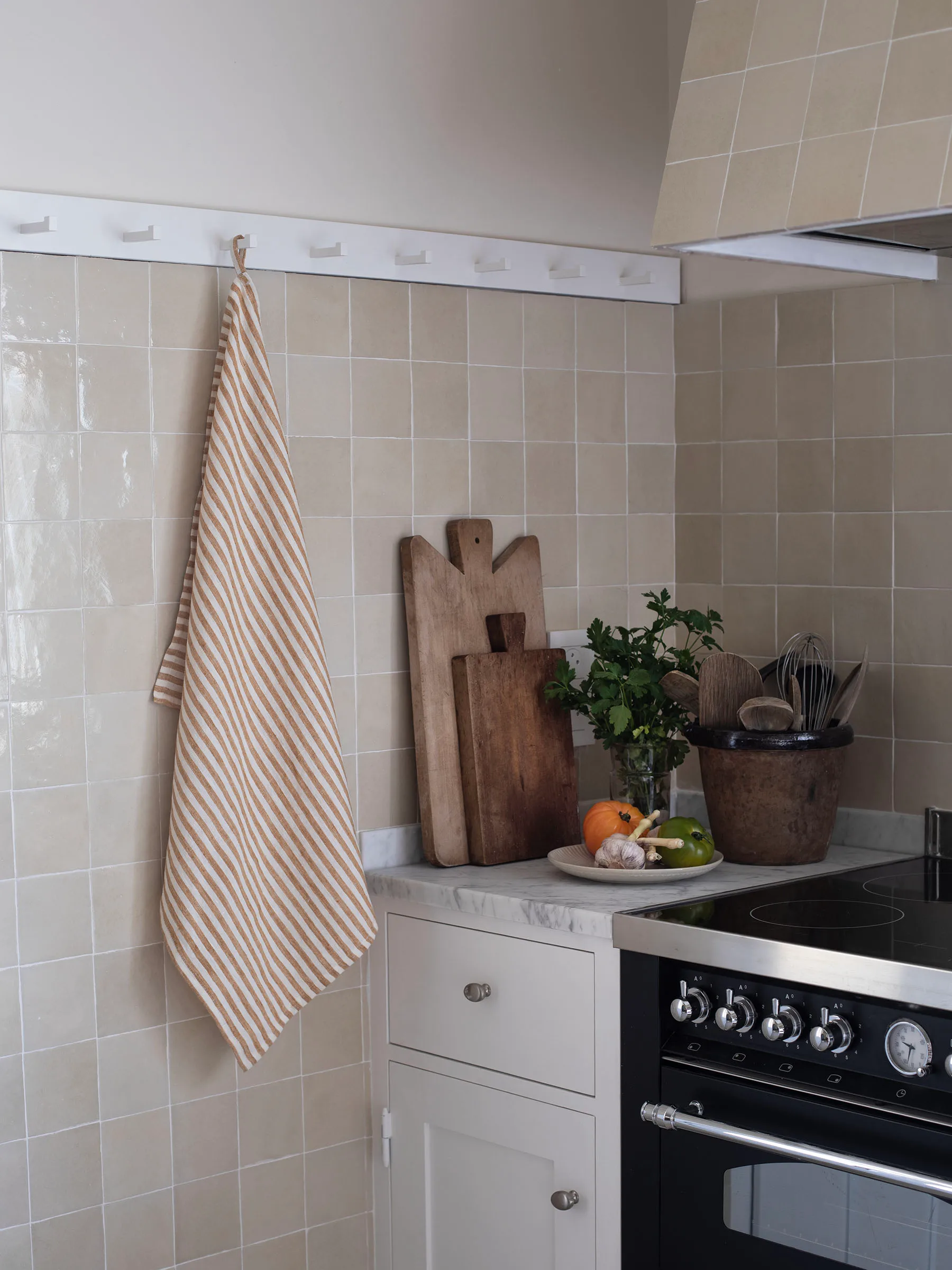 Paño de cocina Leon 50x70 cm, Especia Tell Me More