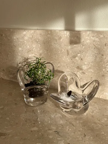 Farolillo Visser - Clear - Tinted