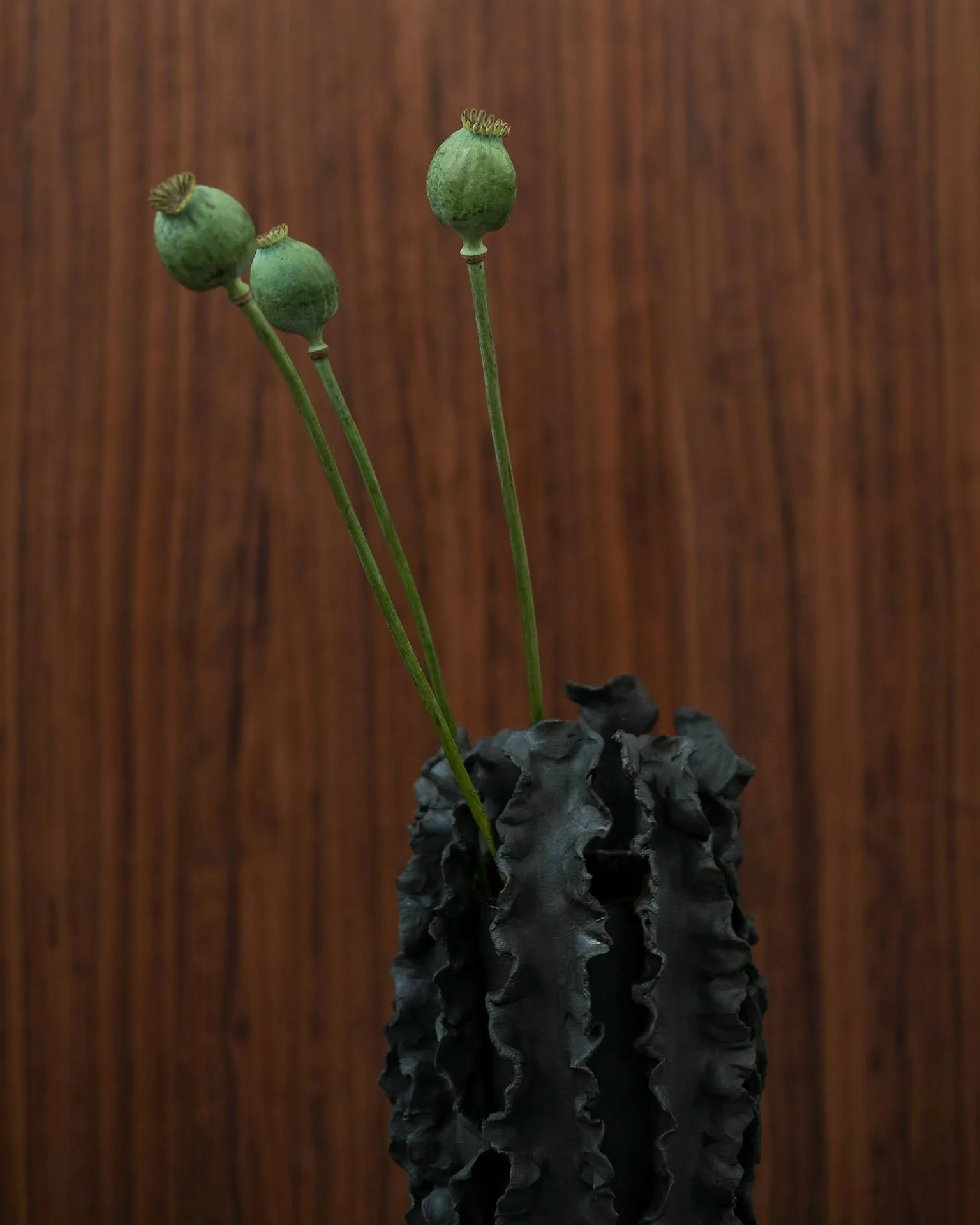 Jarrón Melera, Black, 33x16 cm Tinted