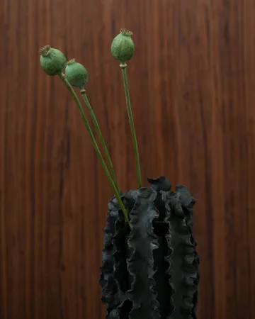 Jarrón Melera - Black, 33x16 cm - Tinted