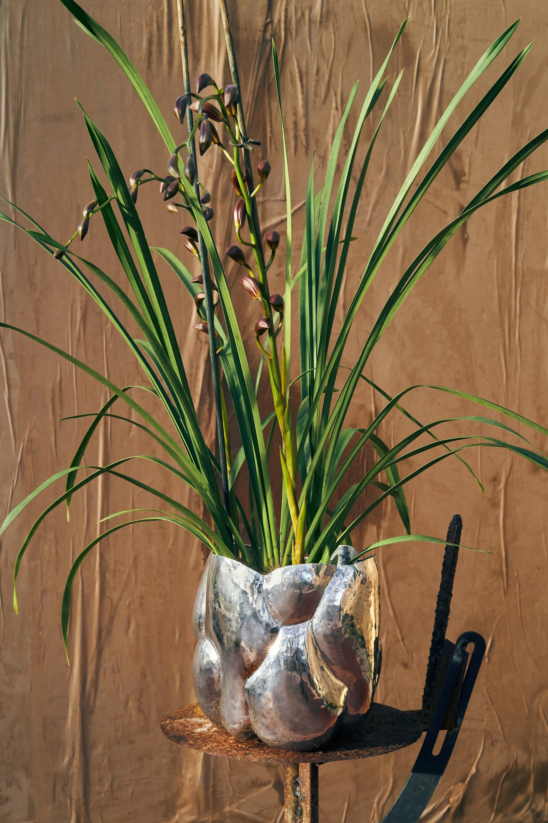 Jarrón bajo Cloud, Silver Tom Dixon