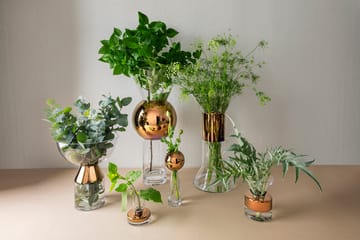 Jarrón Tank grande 36 cm - Transparente-cobre - Tom Dixon