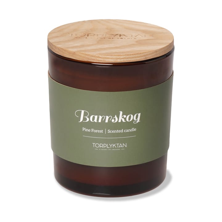 Vela aromática Northern woods 310 g, Barrskog Torplyktan