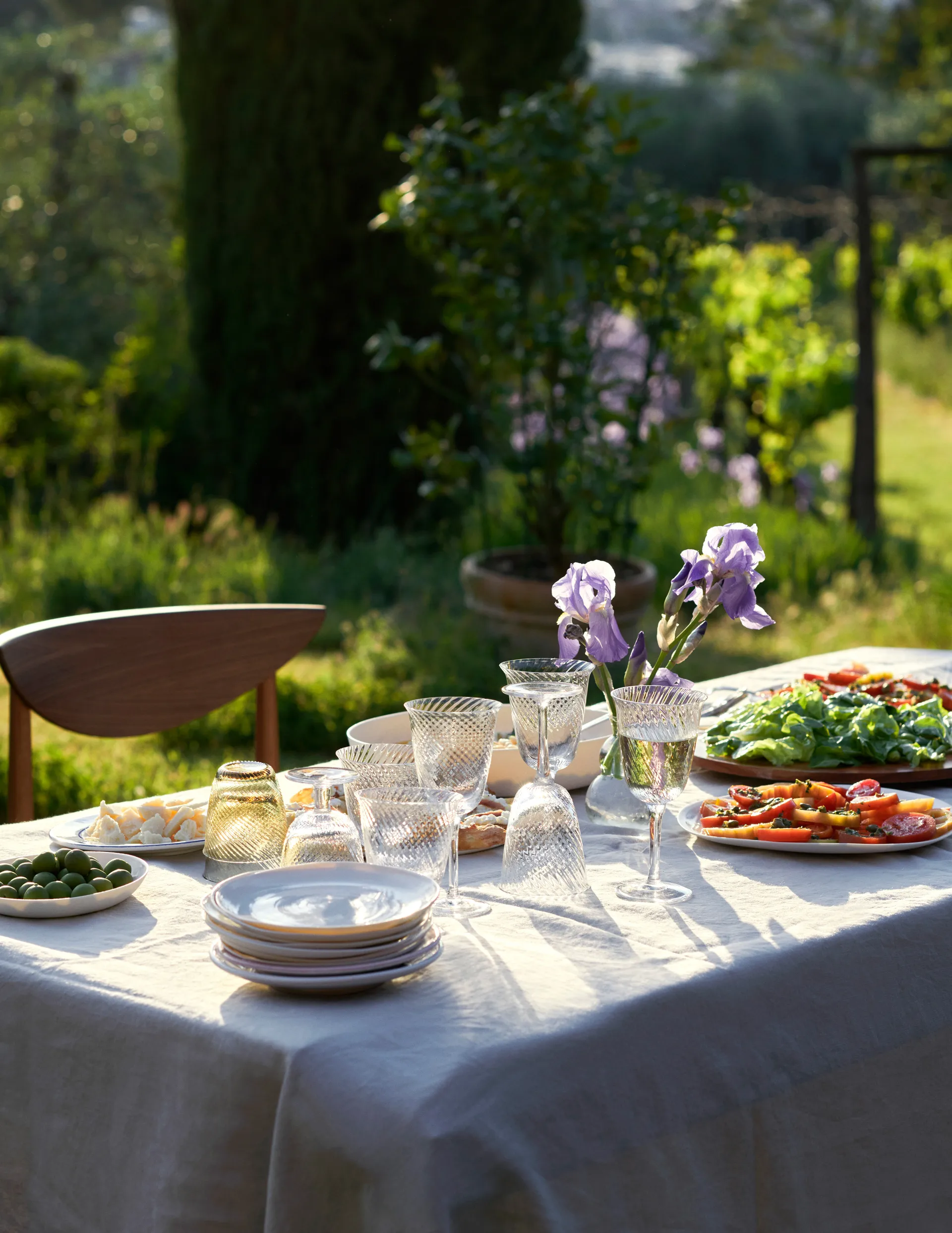 Copa de vino Collect SC80, 2 unidades, Transparente &Tradition