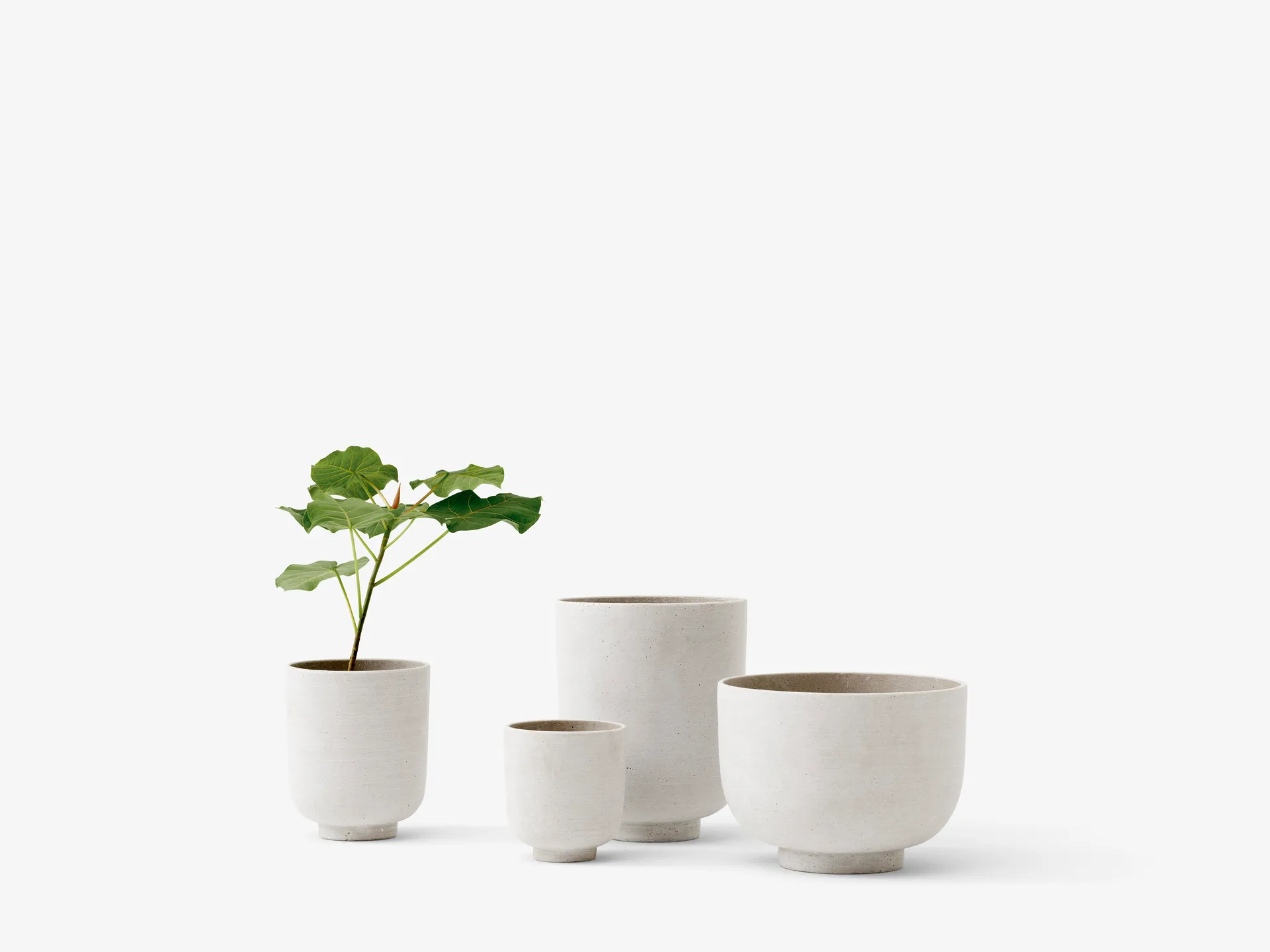Maceta Collect SC71 large Ø24 cm, Milk &Tradition