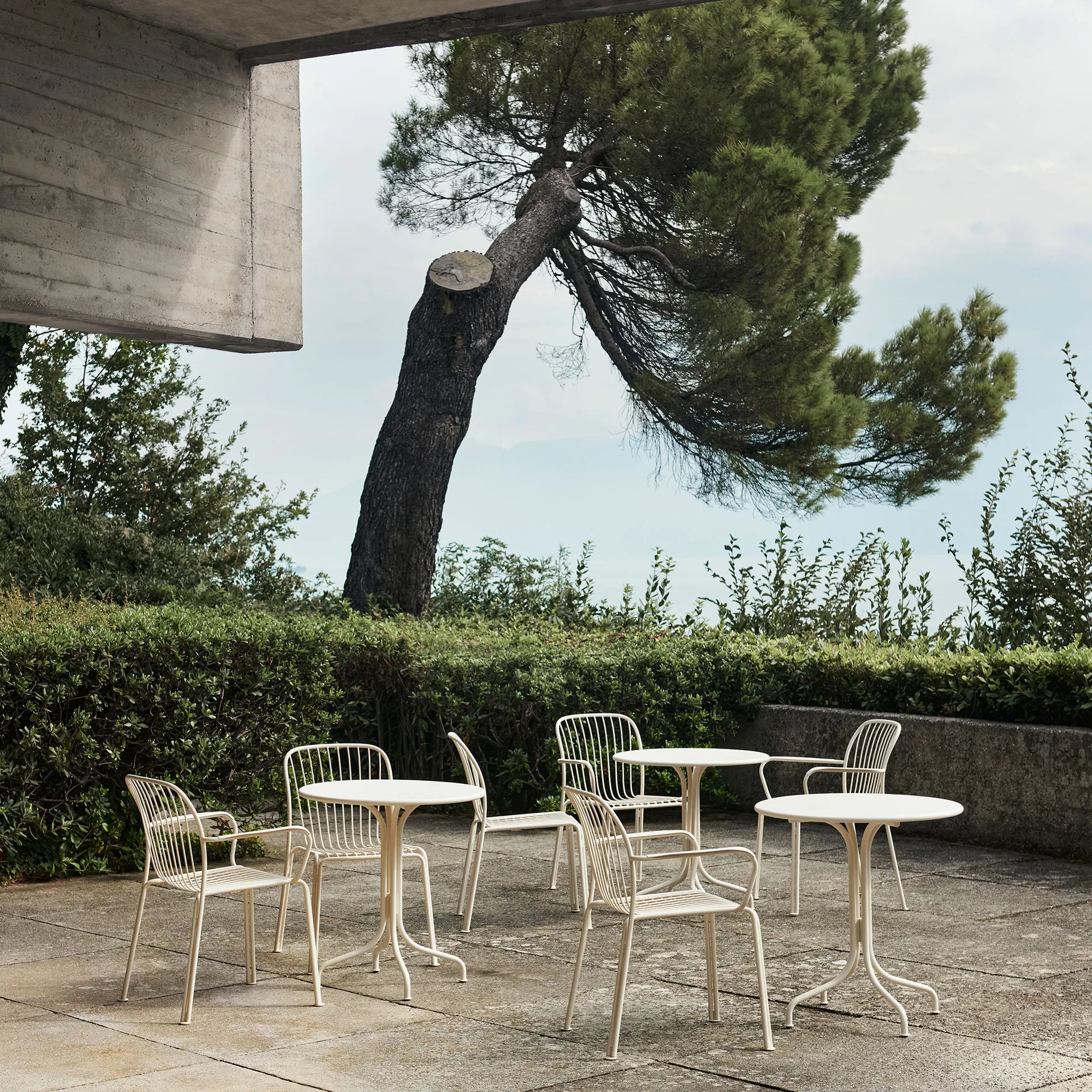 Silla Thorvald SC95, Ivory &Tradition