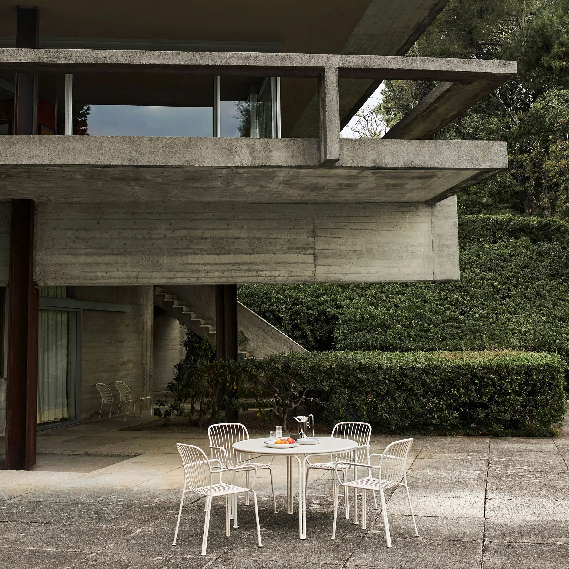 Silla Thorvald SC95, Ivory &Tradition